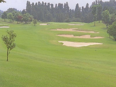 埼玉県のゴルフ場 やさしいゴルフ場ランキング ゴルフ場ランキング倶楽部 ゴルフ場を巡るポータルサイト