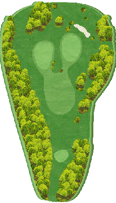 IN Hole15