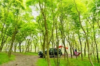 朝霧高原 英知の杜キャンプ場(静岡県)