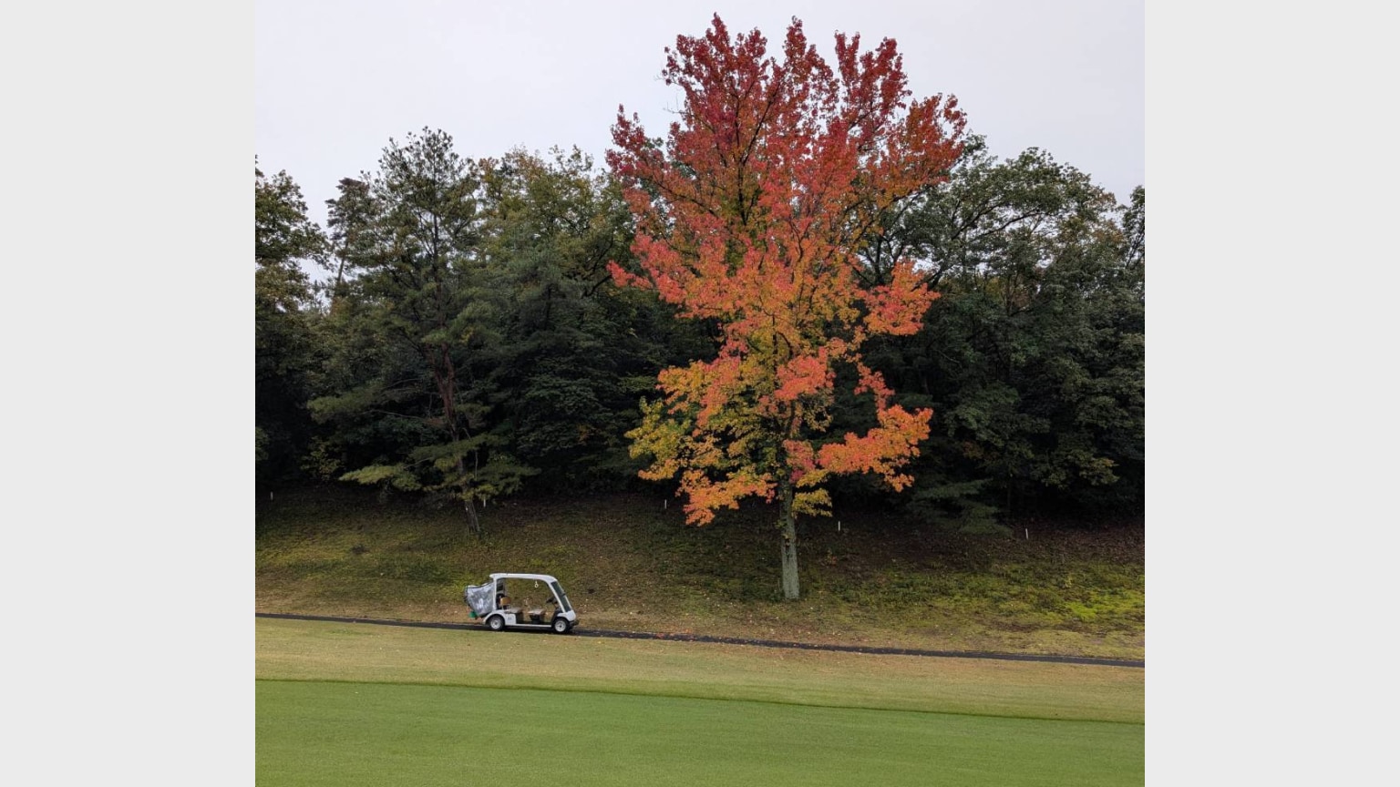 レッスン施設画像